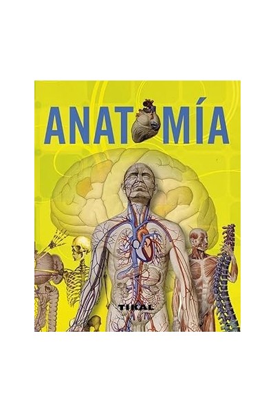 Anatomía (enciclopedia Universal)